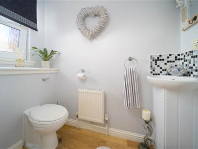 Picture 9